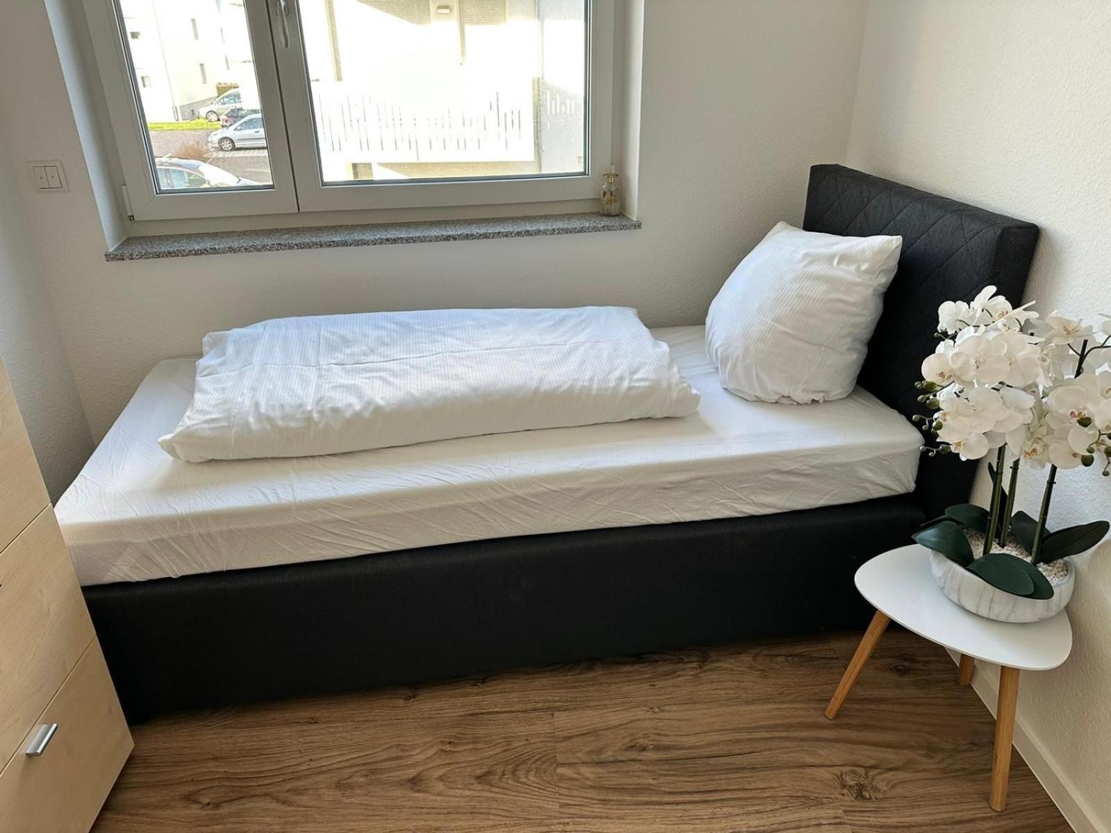 라어 Grosse Cozy 4-Zi-Whg Mit Balkon Naehe Europa Park Und Rulantica 아파트 외부 사진